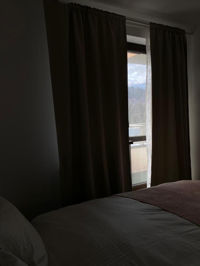 Ioana'S Apartament Lejlighed Sinaia Eksteriør billede