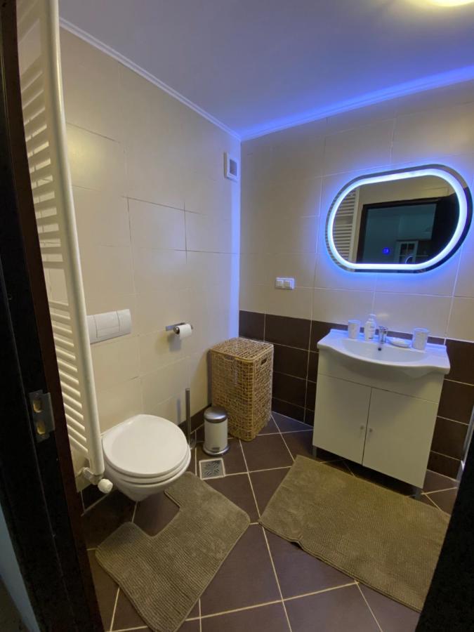 Ioana'S Apartament Lejlighed Sinaia Eksteriør billede