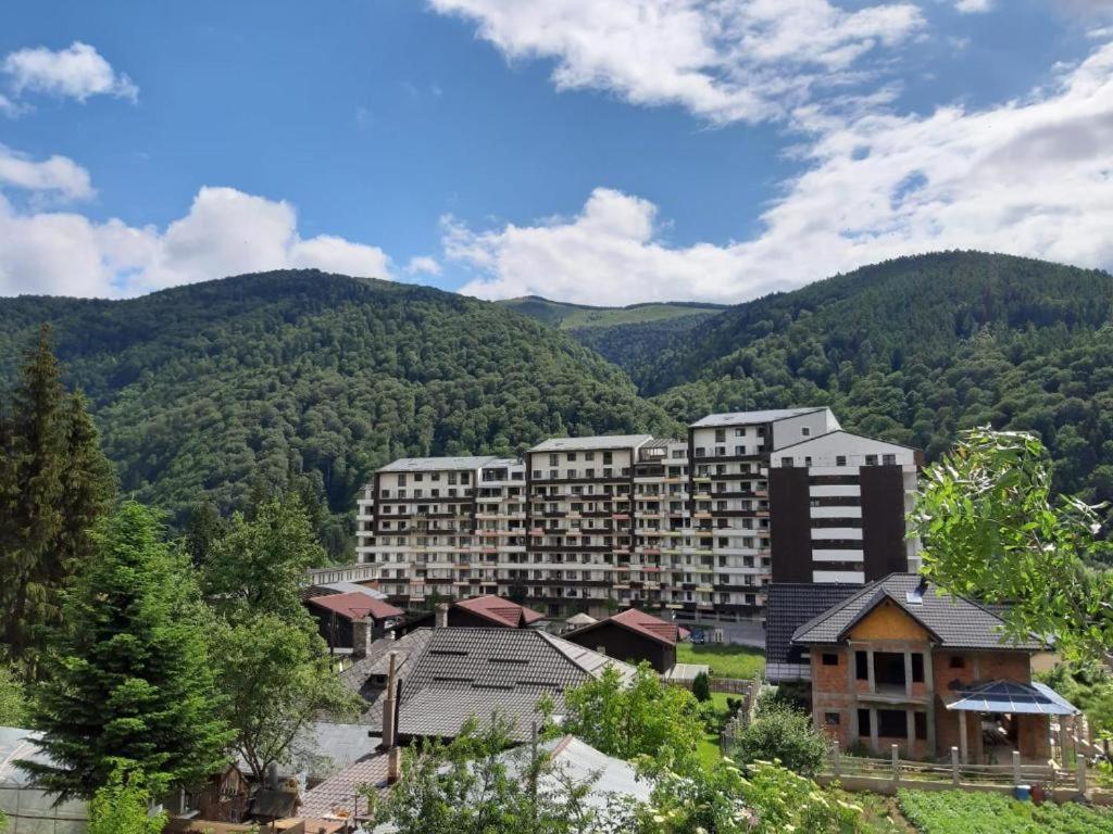 Ioana'S Apartament Lejlighed Sinaia Eksteriør billede